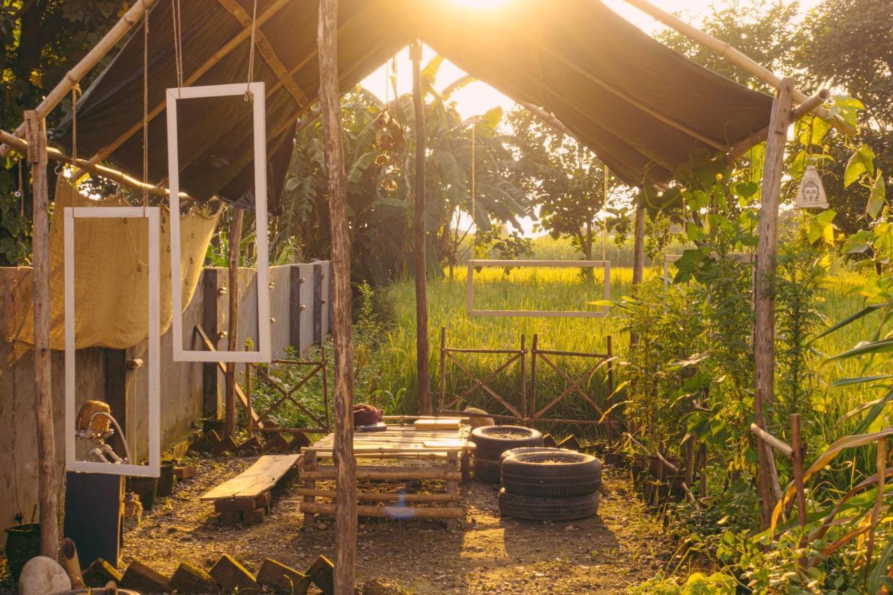 Sun N Soil Backpacker Hostel Lachhiwala Eksteriør bilde