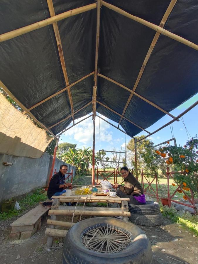 Sun N Soil Backpacker Hostel Lachhiwala Eksteriør bilde